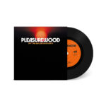Heatwaves vinyl by Pleasurewood